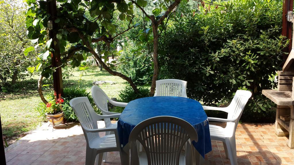 Apartments Lana Umag Rum bild